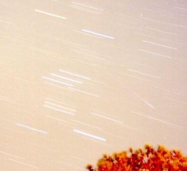 leonid-ori-11-18-01.jpg (12700 bytes)